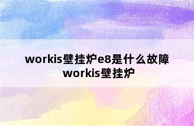 workis壁挂炉e8是什么故障 workis壁挂炉